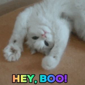 Meet your Posher, Anissa